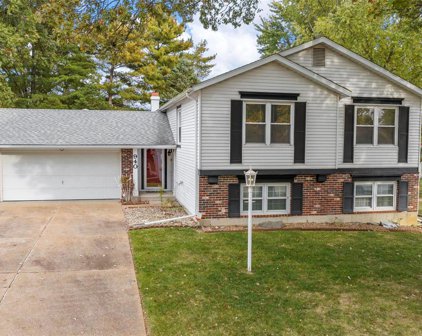 940 Millwood  Drive, St Peters