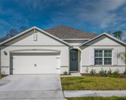 3223 Carpentaria Drive, New Smyrna Beach image