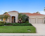 820 Whooping Crane Court, Bradenton image