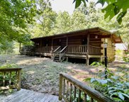164 Gold Miners Rd, Tellico Plains image