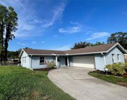18818 Tracer Drive, Lutz image