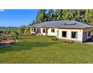 71267 MAJESTIC SHORES RD, North Bend image
