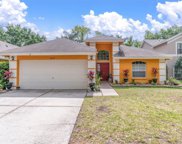 5654 Paddock Trail Drive, Tampa image