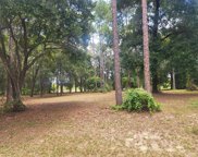 LOT 5 Bonsmara Drive, Leesburg image