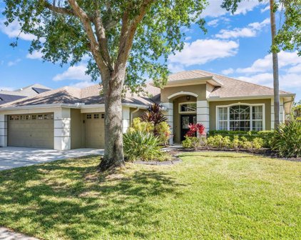 10718 Tavistock Drive, Tampa