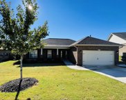 218 Golden Pond, Roebuck image
