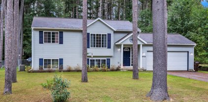 18926 Tall Timbers Drive, Howard City