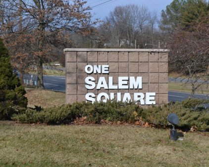 295 Rt 22 E, Readington Twp.