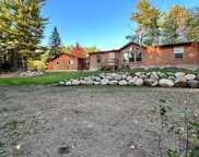 42033 Spider Lake Road, Bovey image