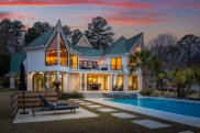 223 Tilden Point Circle, Chapin image