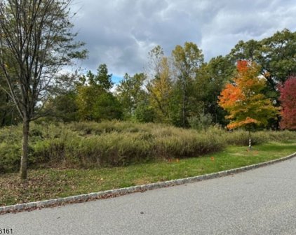 4 Quarry Mountain Ln, Montville Twp.