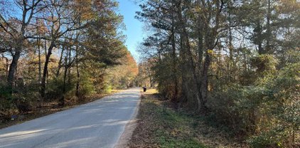 13840 Tommy Smith Road, Conroe