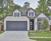 27330 Brixton Hollow Drive, Magnolia image