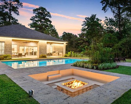 25019 Butler Hill Court, Tomball