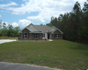 137 Alpharetta Ct., Conway image