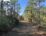 Tract 4 Highway Off 17- 61.63 Ac, Hampstead image