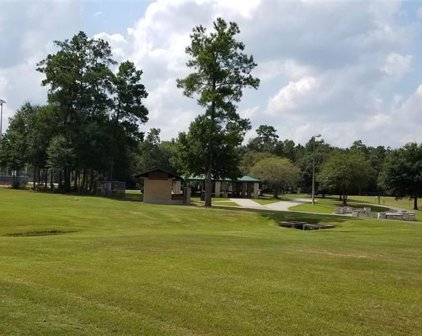 3388 WOODED Lane, Conroe