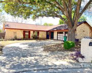 11705 Smoking Oaks St, Live Oak image