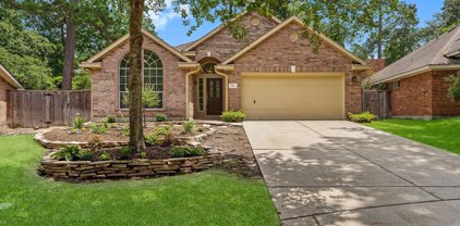 22 Orchard Dale Circle, The Woodlands