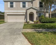 12651 Flatwood Creek Drive, Gibsonton image