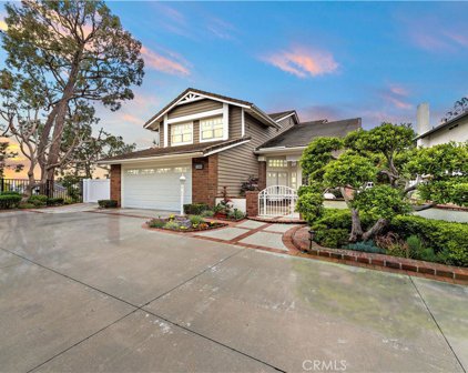25096 Danapepper, Dana Point