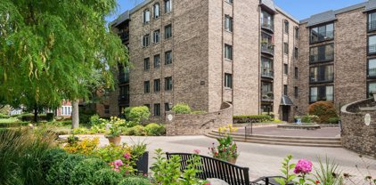 1009 Bonnie Brae Place Unit #1B, River Forest