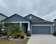 13910 Snowy Plover Lane, Riverview image