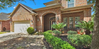 14831 Yellow Begonia Drive, Cypress