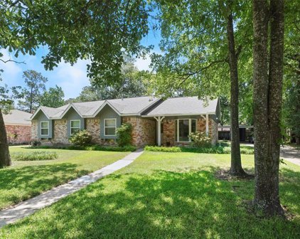 27218 Kane Lane, Conroe