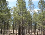 1632 Pine Canyon, Happy Jack image