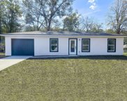 6 Pine Radial Court, Ocala image