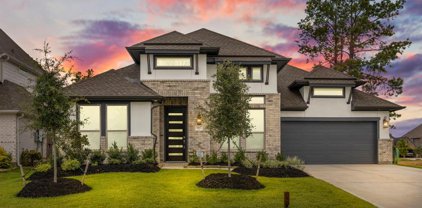 14807 Providence Manor Way, Cypress