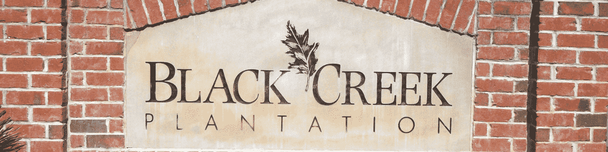 Black Creek Plantation Myrtle Beach SC