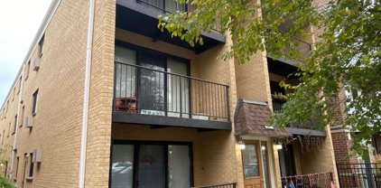 4841 N Central Avenue Unit #1W, Chicago