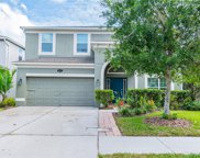 10607 Pictorial Park Drive, Tampa image