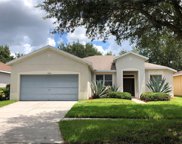 11046 Holly Cone Drive, Riverview image