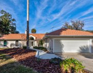 33643 Shady Acres Road, Leesburg image