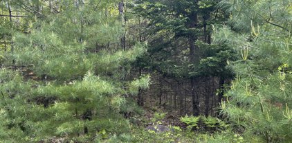 Lot#4 Farms Edge Road, Bridgton