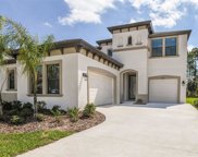14825 Paddock Pond Avenue, Lithia image