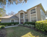 17121 Equestrian Trail, Odessa image