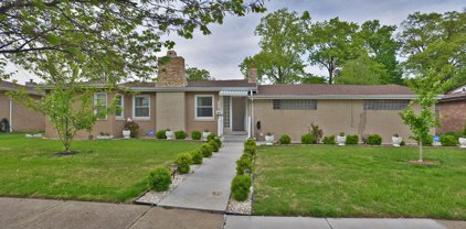 5825 Eichelberger  Street, St Louis