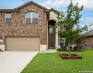 8907 Palomino Pony, San Antonio image