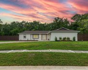 15616 Woodway Drive, Tampa image