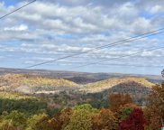 8455 Clayton Road, Springville image