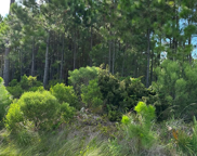 1489 Hwy 98, Eastpoint image