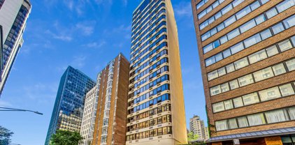 221 E Walton Place Unit #10B, Chicago