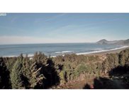 Horizon DR, Gold Beach image