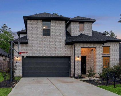 219 Rose Gum Court, Conroe