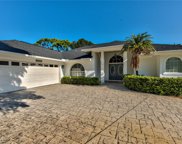 3900 Preserve Way, Estero image