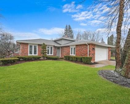 6941 Springside Avenue, Downers Grove